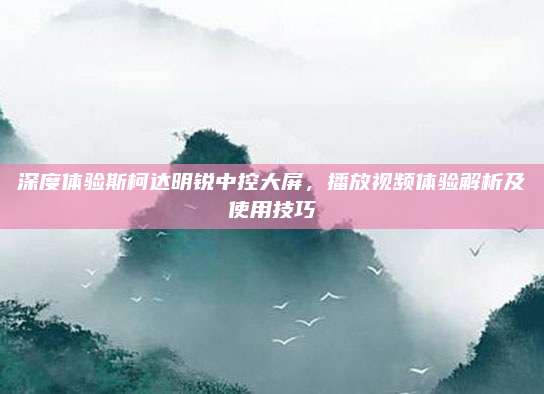深度体验斯柯达明锐中控大屏，播放视频体验解析及使用技巧