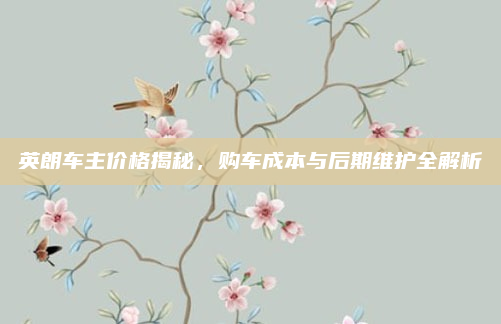 英朗车主价格揭秘，购车成本与后期维护全解析