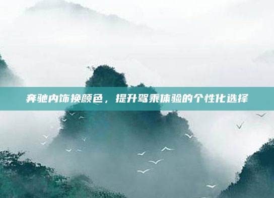 奔驰内饰换颜色，提升驾乘体验的个性化选择