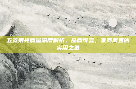五菱荣光质量深度解析，品质可靠，家商两宜的实用之选