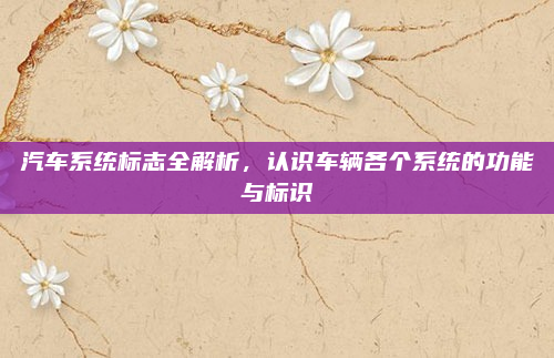 汽车系统标志全解析，认识车辆各个系统的功能与标识
