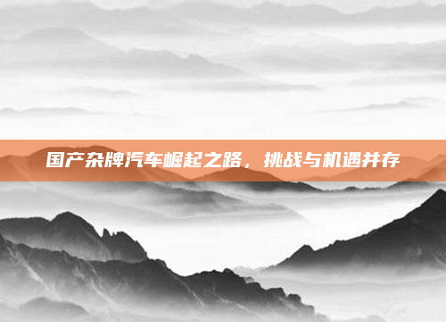 国产杂牌汽车崛起之路,挑战与机遇并存
