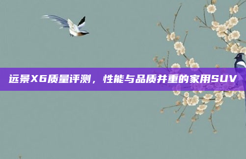 远景X6质量评测，性能与品质并重的家用SUV