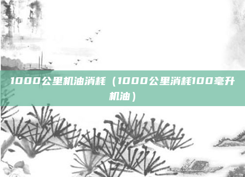1000公里机油消耗（1000公里消耗100毫升机油）