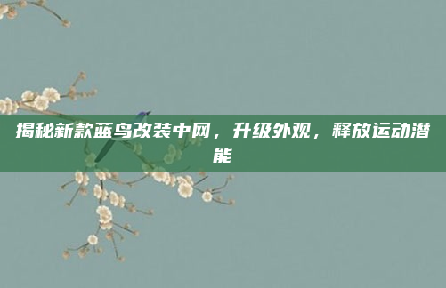 揭秘新款蓝鸟改装中网,升级外观,释放运动潜能