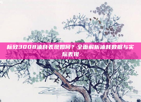 标致3008油耗表现如何?全面解析油耗数据与实际表现