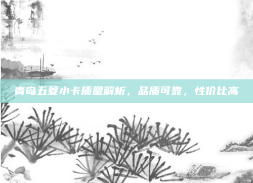 青岛五菱小卡质量解析，品质可靠，性价比高