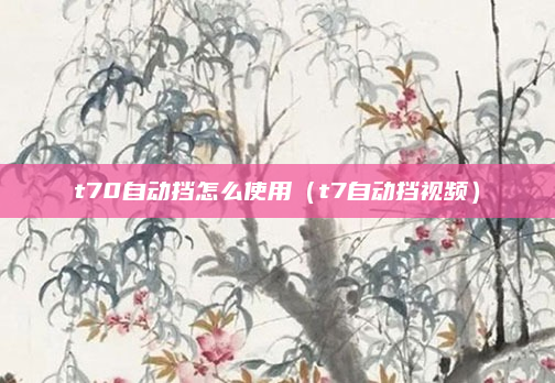 t70自动挡怎么使用(t7自动挡视频)