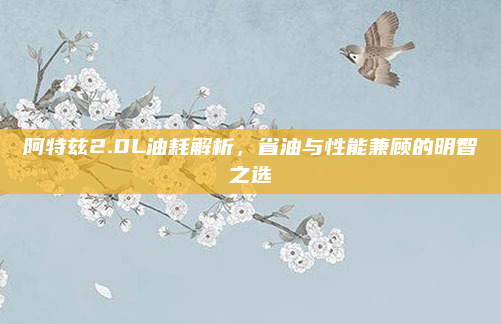 阿特兹2.0L油耗解析，省油与性能兼顾的明智之选