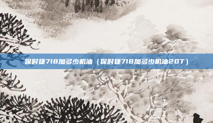 保时捷718加多少机油(保时捷718加多少机油20T)
