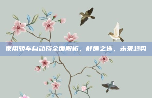 家用轿车自动挡全面解析,舒适之选,未来趋势