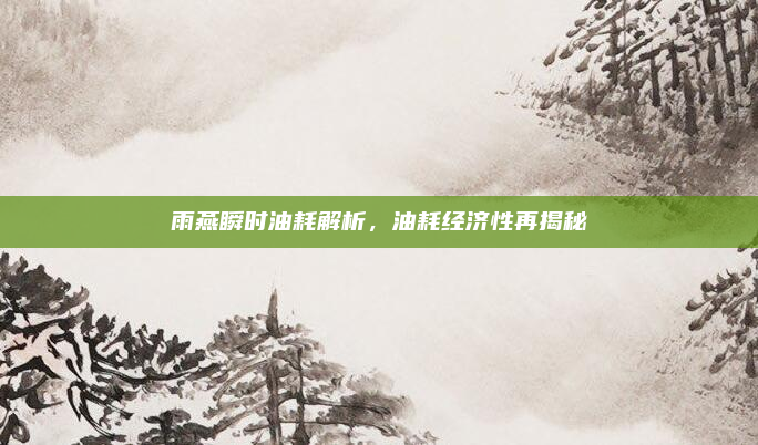 雨燕瞬时油耗解析,油耗经济性再揭秘