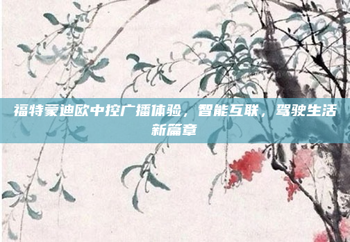 福特蒙迪欧中控广播体验，智能互联，驾驶生活新篇章