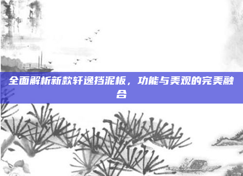 全面解析新款轩逸挡泥板,功能与美观的完美融合
