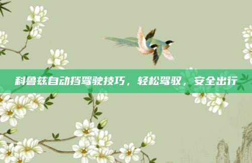 科鲁兹自动挡驾驶技巧,轻松驾驭,安全出行