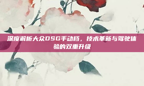 深度解析大众DSG手动档,技术革新与驾驶体验的双重升级