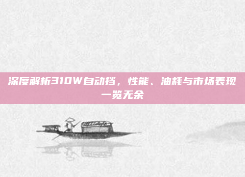 深度解析310W自动挡,性能、油耗与市场表现一览无余