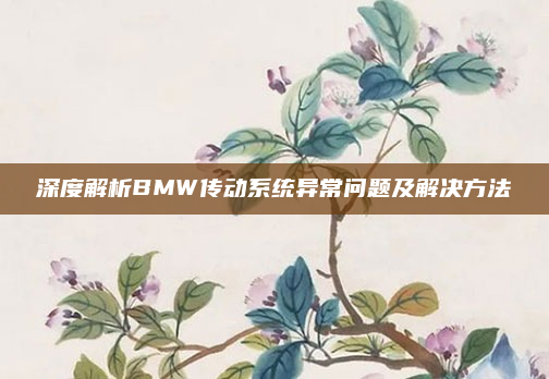 深度解析BMW传动系统异常问题及解决方法