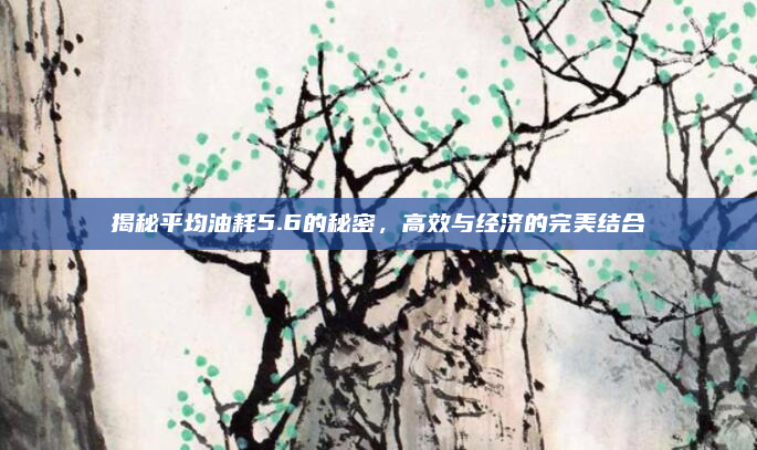 揭秘平均油耗5.6的秘密，高效与经济的完美结合