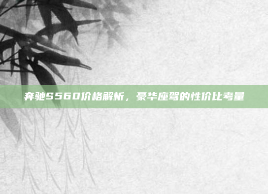 奔驰S560价格解析，豪华座驾的性价比考量