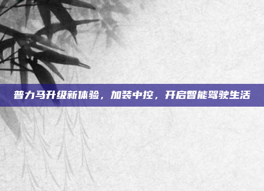 普力马升级新体验，加装中控，开启智能驾驶生活