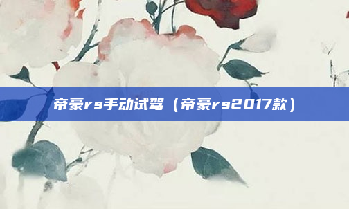 帝豪rs手动试驾(帝豪rs2017款)