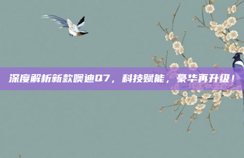 深度解析新款噢迪Q7,科技赋能,豪华再升级!
