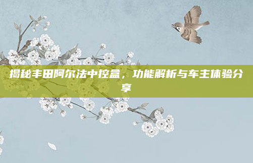 揭秘丰田阿尔法中控盒,功能解析与车主体验分享