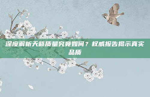 深度解析天籁质量究竟如何？权威报告揭示真实品质