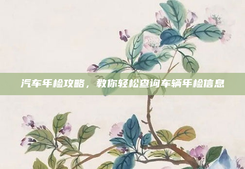 汽车年检攻略，教你轻松查询车辆年检信息