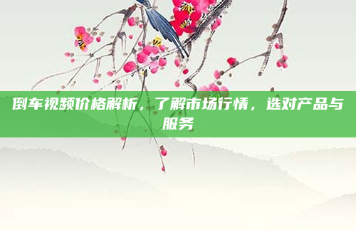 倒车视频价格解析，了解市场行情，选对产品与服务