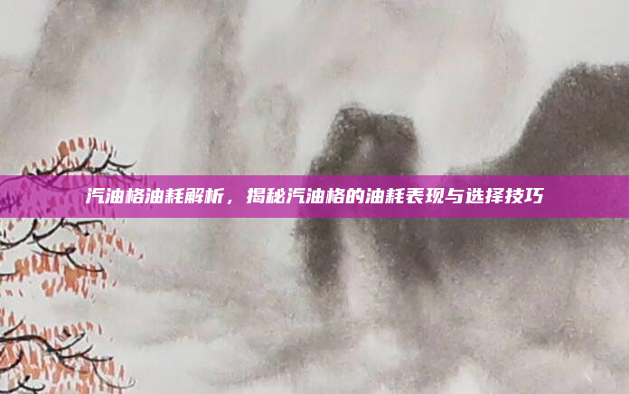 汽油格油耗解析，揭秘汽油格的油耗表现与选择技巧