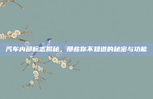 汽车内部标志揭秘，那些你不知道的秘密与功能