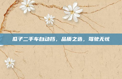瓜子二手车自动挡，品质之选，驾驶无忧