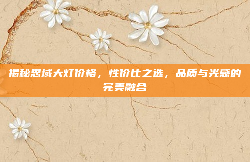 揭秘思域大灯价格，性价比之选，品质与光感的完美融合