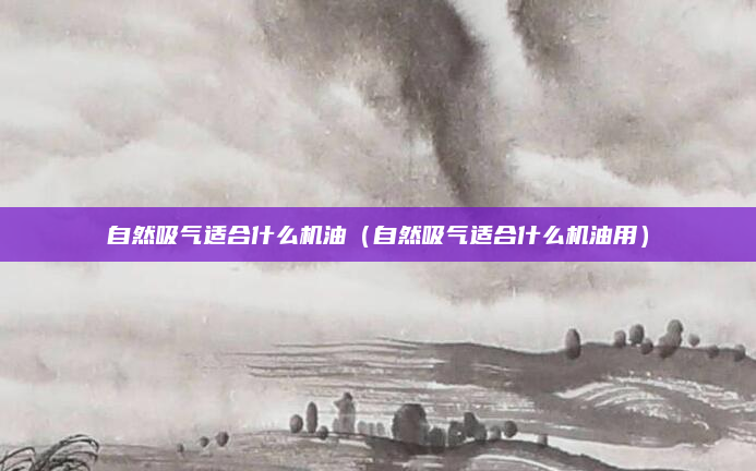 自然吸气适合什么机油(自然吸气适合什么机油用)
