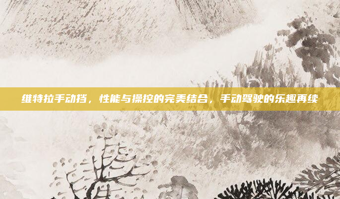 维特拉手动挡，性能与操控的完美结合，手动驾驶的乐趣再续