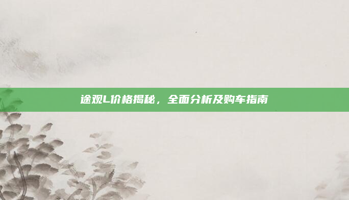 途观L价格揭秘，全面分析及购车指南