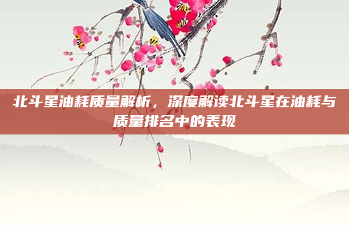 北斗星油耗质量解析，深度解读北斗星在油耗与质量排名中的表现