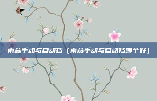 雨燕手动与自动挡（雨燕手动与自动挡哪个好）