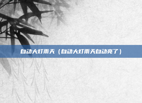 自动大灯雨天(自动大灯雨天自动亮了)