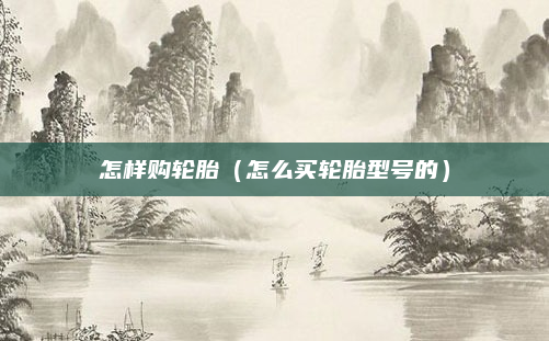 怎样购轮胎(怎么买轮胎型号的)