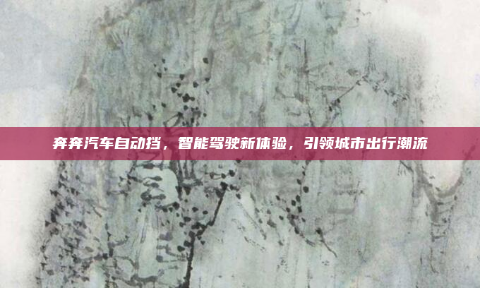 奔奔汽车自动挡，智能驾驶新体验，引领城市出行潮流