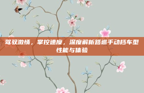 驾驭激情，掌控速度，深度解析路巡手动档车型性能与体验