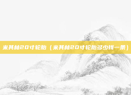 米其林20寸轮胎(米其林20寸轮胎多少钱一条)