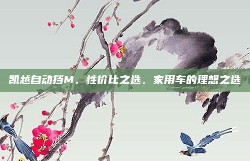 凯越自动挡M，性价比之选，家用车的理想之选