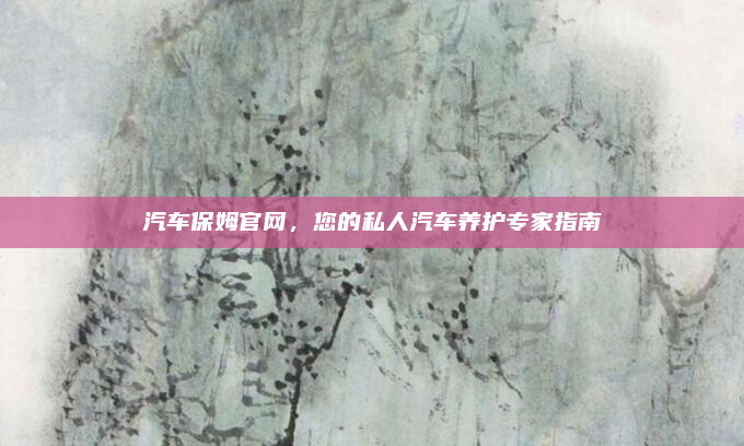 汽车保姆官网，您的私人汽车养护专家指南