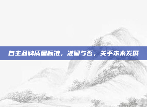 自主品牌质量标准,准确与否,关乎未来发展