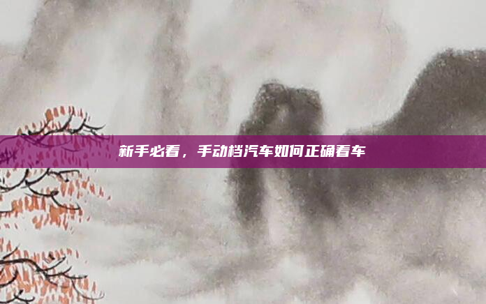 新手必看，手动档汽车如何正确着车