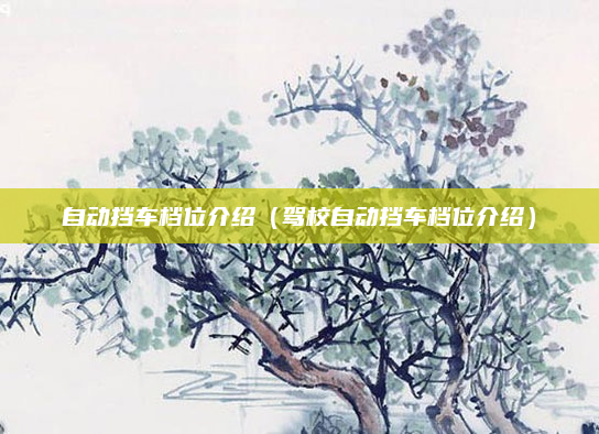 自动挡车档位介绍(驾校自动挡车档位介绍)